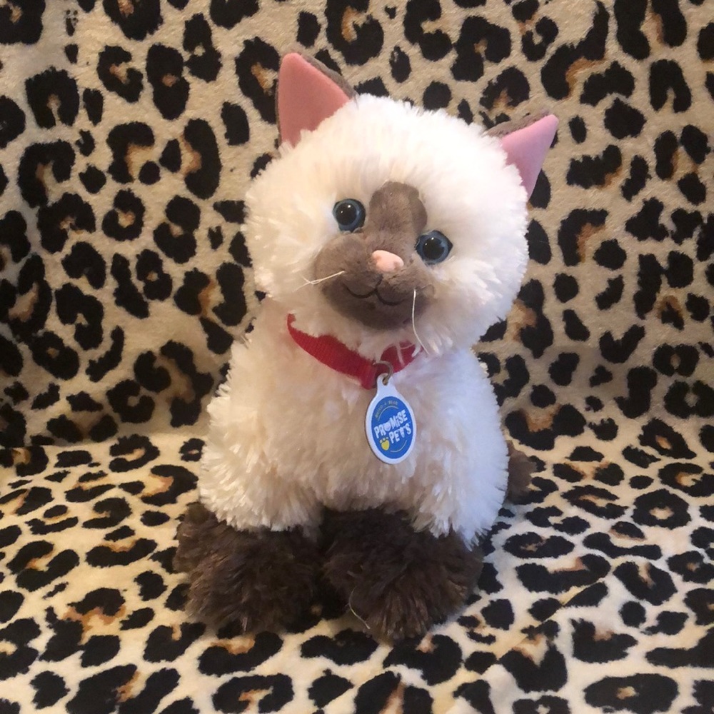 Build a bear promise pets Siamese cat